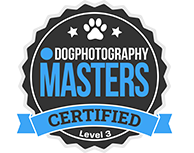 Dog Photography Masters